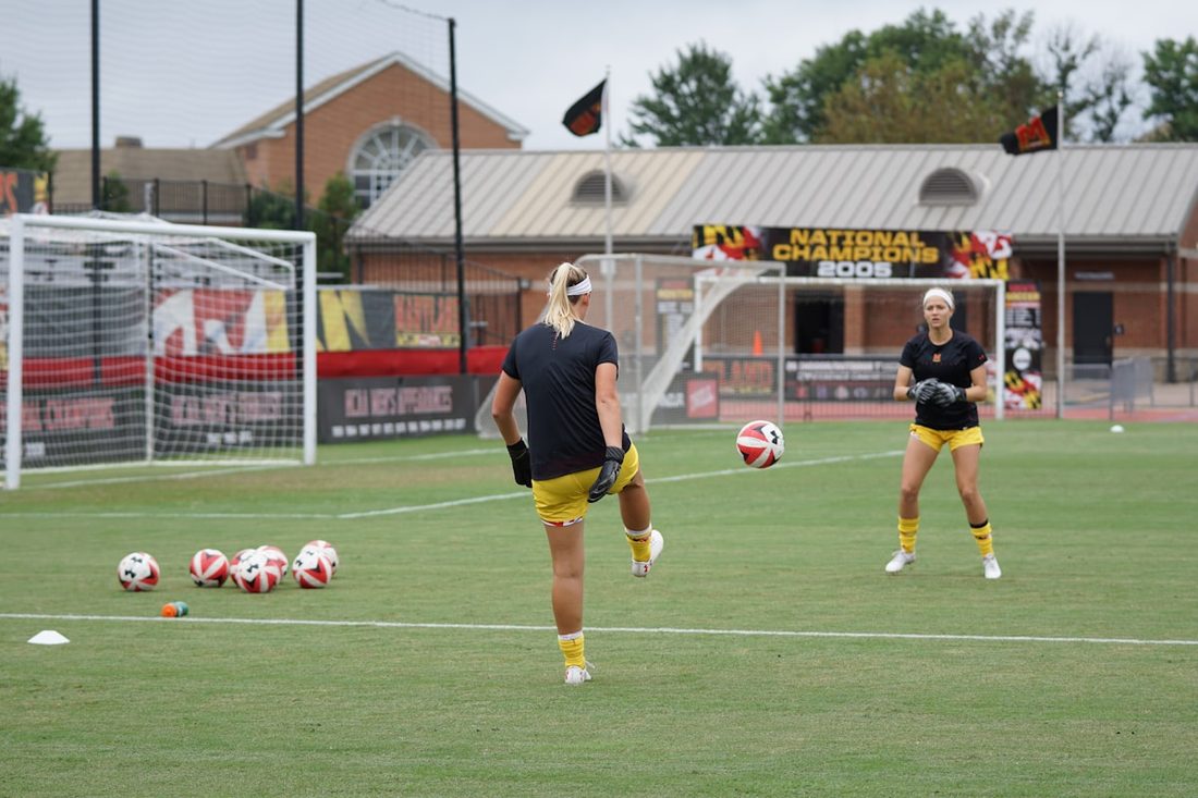 RB88体育 APP 导出或工具界面示意